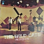 [중고] 와일드 캣츠 들고양이들 마음약해서 LP : 알라딘 [중고] 와일드 캣츠  들고양이들  마음약해서   LP : 알라딘