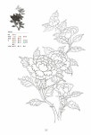 [중고] 민화, 채색화 기초 도안집 | 이수경 | 알라딘 [중고] 민화, 채색화 기초 도안집 | 이수경