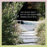 365일 꽃 피는 정원 가꾸기 | 정계준 | 알라딘 365일 꽃 피는 정원 가꾸기 | 정계준