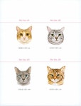 The Cat 더 캣 : 알라딘