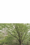[중고] 도시공원을 탐(探)하다 | 고하정 | 알라딘 [중고] 도시공원을 탐(探)하다 | 고하정