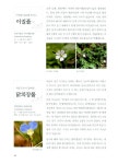 우리나라 야생화이야기 : 알라딘