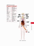[중고] 국제의료관광 코디네이터 5 : 의학용어 & 질환의 이해 : 알라딘