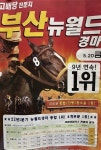 [중고] 고배당 전문지 부산 뉴월드 경마 2022. 5. 20 금 | 뉴월드 경마 | 알라딘 [중고] 고배당 전문지 부산 뉴월드 경마 2022. 5. 20 금... 