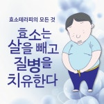 효소는 살을 빼고 질병을 치유한다 : 알라딘