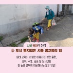시골 육아 : 알라딘