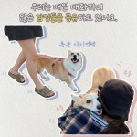 [중고] 아리둥절, 매일 행복을 만나 | 아리.아리집사 | 알라딘 [중고] 아리둥절, 매일 행복을 만나 | 아리.아리집사