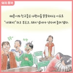 카드리뷰 : 알라딘