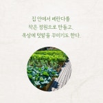 선비들의 텃밭 조선의 채마밭 : 알라딘