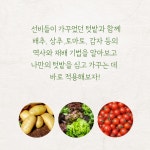선비들의 텃밭 조선의 채마밭 : 알라딘
