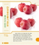 알라딘: [중고] 쇼 미 더 케이아트 Show 美 the K-ART [중고] 쇼 미 더 케이아트 Show 美 the K-ART