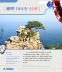 알라딘: [중고] 쇼 미 더 케이아트 Show 美 the K-ART [중고] 쇼 미 더 케이아트 Show 美 the K-ART