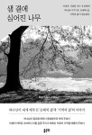 샘 곁에 심어진 나무 : 알라딘