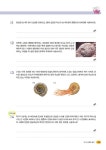 안쌤의 창의융합과학 4-1 | 안쌤의 창의융합과학 | 안쌤 영재교육연구소 | 알라딘 안쌤의 창의융합과학 4-1 | 안쌤의 창의융합과학  | 안쌤... 