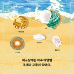 조개 이야기 | 아르볼 상상나무 12 | 헬렌 스케일스 | 알라딘 조개 이야기 | 아르볼 상상나무 12 | 헬렌 스케일스