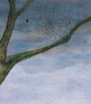 거미 가족 | 백석 시 그림책 | 백석 | 알라딘 거미 가족 | 백석 시 그림책  | 백석