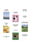Mellow Dog Volume 4 (멜로우매거진) | Mellow Volume 4 | 펫앤스토리 편집부 | 알라딘 Mellow Dog Volume 4 (멜로우매거진) | Mellow... 