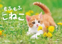 알라딘: もふもふこねこカレンダ- (2023) もふもふこねこカレンダ- (2023)