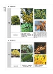 2023 조경기능사 실기 시험전 한번에 끝내기 : 알라딘