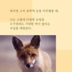 여우와 나 : 알라딘