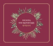빌리프 Belief : 알라딘