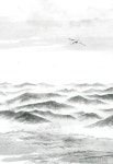 가리왕산, 자장율사를 품은 깨달음의 순례처 | 손진익 | 알라딘 가리왕산, 자장율사를 품은 깨달음의 순례처 | 손진익