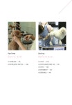 나의 직업 : 애견미용사 | 행복한 직업 찾기 시리즈 | 꿈디자인LAB | 알라딘 나의 직업 : 애견미용사 | 행복한 직업 찾기 시리즈  | 꿈디자인LAB