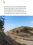 부산의 고개 | 동길산 | 알라딘 부산의 고개 | 동길산