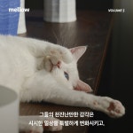 5 | 펫앤스토리 편집부 | 알라딘 Mellow Dog Volume 5 (멜로우매거진) | Mellow Volume 5  | 펫앤스토리 편집부
