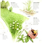 [중고] 초원에서 함께 살아요 | 페루치오 쿠치아리니 글.그림, 김길원 옮김.감수 | 알라딘 [중고] 초원에서 함께 살아요 | 페루치오 쿠치아리니 글.... 