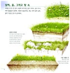 [중고] 초원에서 함께 살아요 | 페루치오 쿠치아리니 글.그림, 김길원 옮김.감수 | 알라딘 [중고] 초원에서 함께 살아요 | 페루치오 쿠치아리니 글.... 
