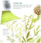 [중고] 초원에서 함께 살아요 | 페루치오 쿠치아리니 글.그림, 김길원 옮김.감수 | 알라딘 [중고] 초원에서 함께 살아요 | 페루치오 쿠치아리니 글.... 
