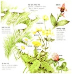 [중고] 초원에서 함께 살아요 | 페루치오 쿠치아리니 글.그림, 김길원 옮김.감수 | 알라딘 [중고] 초원에서 함께 살아요 | 페루치오 쿠치아리니 글.... 