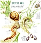 [중고] 초원에서 함께 살아요 | 페루치오 쿠치아리니 글.그림, 김길원 옮김.감수 | 알라딘 [중고] 초원에서 함께 살아요 | 페루치오 쿠치아리니 글.... 