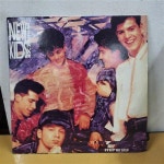 알라딘: [중고] [LP] 뉴 키즈 온 더 블록 (New Kids On The Block) / Step By Step [중고] [LP] 뉴 키즈 온 더 블록 (New Kids On The... 