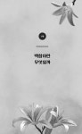 알라딘: 백합, 이 좋은 걸 이제 알았다니 백합, 이 좋은 걸 이제 알았다니