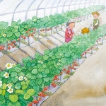 큰 딸기가 말했어 | 놀이깨비 그림책 5 | 김수정 그림, 우은선 글 | 알라딘 큰 딸기가 말했어 | 놀이깨비 그림책 5 | 김수정 그림, 우은선 글