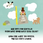 창 너머 산속에 | 마리오 벨리니 | 알라딘 창 너머 산속에 | 마리오 벨리니