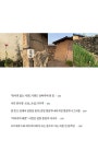 담장의 말 : 알라딘