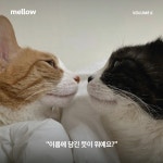 Mellow Cat Volume 6 (멜로우매거진) | Mellow Volume 6... Mellow Cat Volume 6 (멜로우매거진) | Mellow Volume 6  | 펫앤스토리 편집부