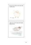 알라딘: 탐조일기 탐조일기