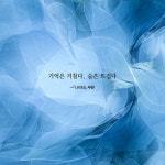 물망초 꿈꾸는 언덕에서 | 천년의 시 145 | 황진구 | 알라딘 물망초 꿈꾸는 언덕에서 | 천년의 시 145 | 황진구