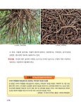 야생 풀·나무 약초 도감 | 약산 | 알라딘 야생 풀·나무 약초 도감 | 약산