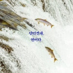 연어의 시간 | 마크 쿨란스키 | 알라딘 연어의 시간 | 마크 쿨란스키