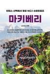알라딘