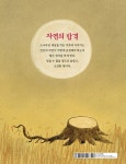 소나무 | 리센 아드보게 | 알라딘 소나무 | 리센 아드보게