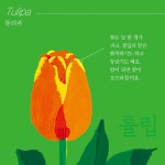 꽃의 계절 | 가까이 자연도감 시리즈 | 에마뉘엘 케시르-르프티 | 알라딘 꽃의 계절 | 가까이 자연도감 시리즈  | 에마뉘엘 케시르-르프티