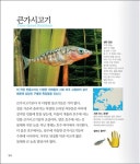 동물대백과 2 | 동물대백과 2 | David Alderton | 알라딘 동물대백과 2 | 동물대백과 2 | David Alderton