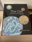 [중고] The Cell: A Molecular Approach (Hardcover, 8) | 알라딘 [중고] The Cell: A Molecular Approach (Hardcover, 8)
