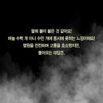 알래스카 한의원 | 이소영 | 알라딘 알래스카 한의원 | 이소영